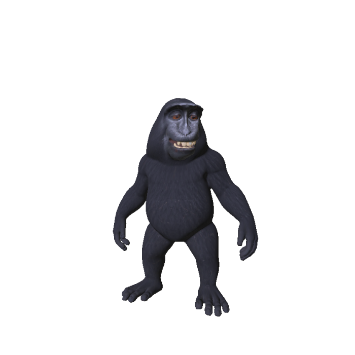 Little Smiling Monkey 🐵
