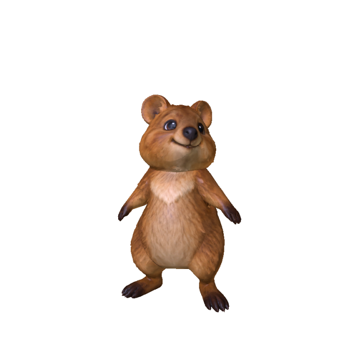 Chubby Quokka