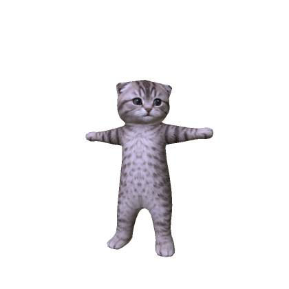 Knight Girl Cat Meme