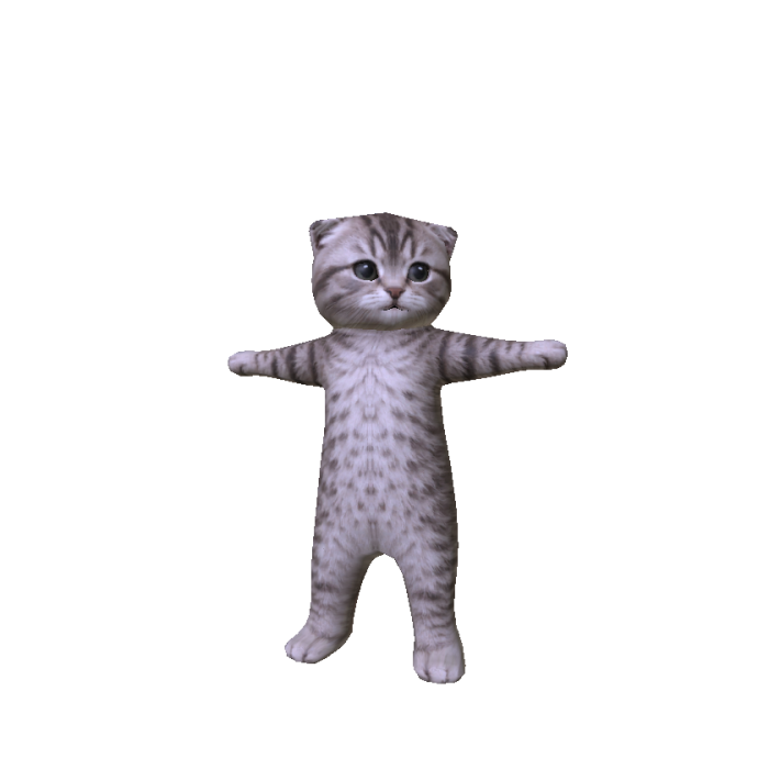 Knight Girl Cat Meme
