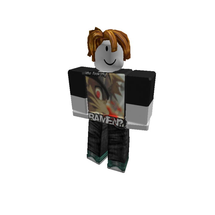 Roblox banner for @rapter123