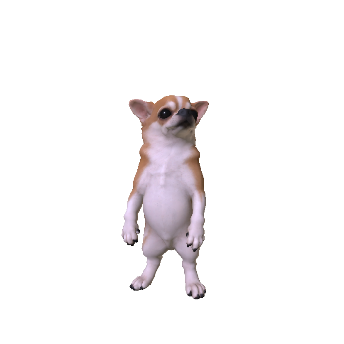 Mini Chihuahua