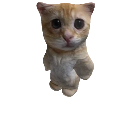 kittymeowmeow's avatar