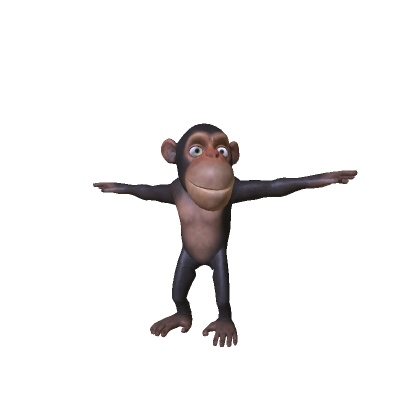Silly Monkey