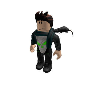 hairytwinkle2929 - Roblox