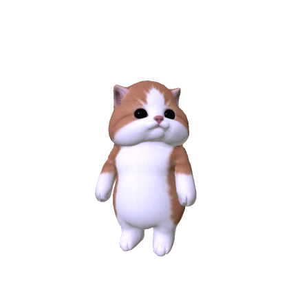Chubby Cheeked Kitten