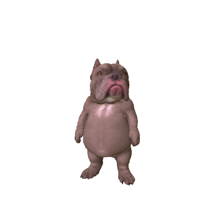 Funny Bulldog