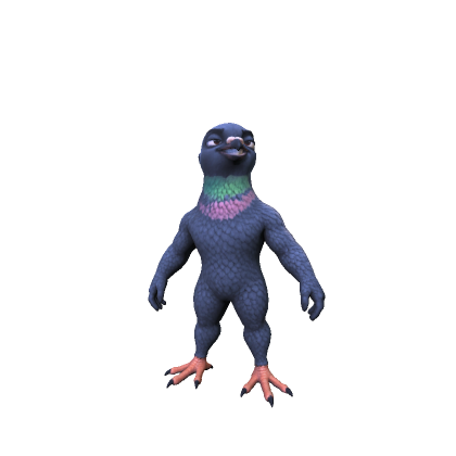 Sigma Pigeon Bird