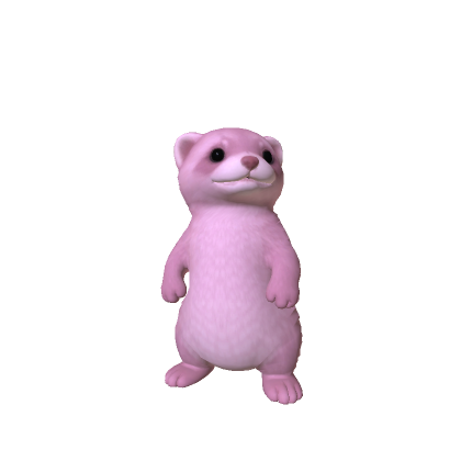 Mini Ferret