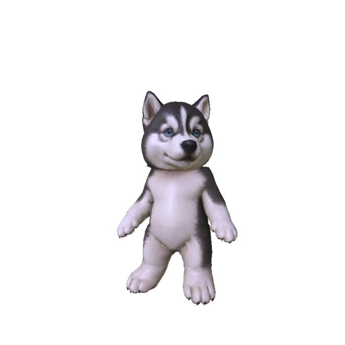 Cute Mini Husky