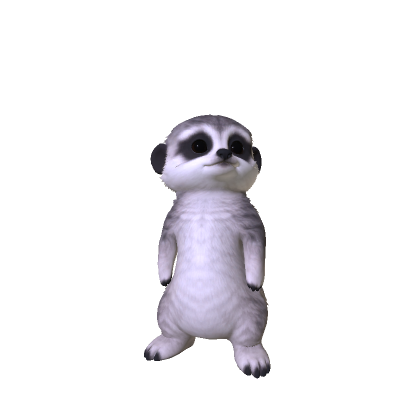 Meerkat