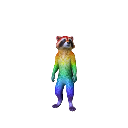 Rainbow Raccoon