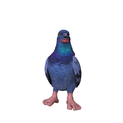Cantina Bird