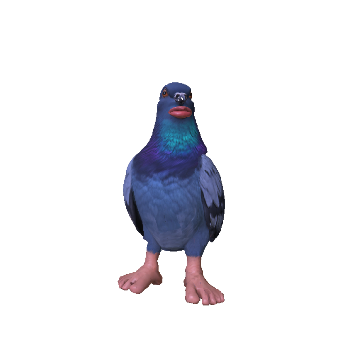 Cantina Bird