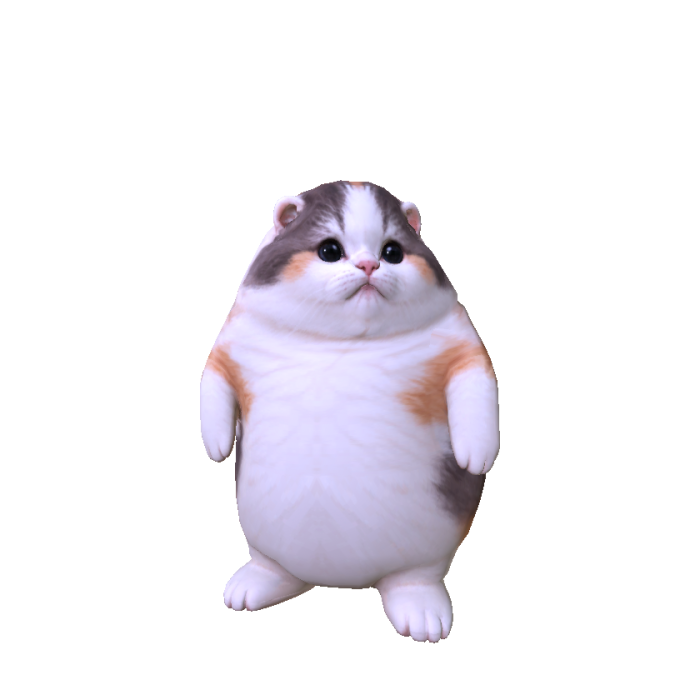 Big Fat Cat