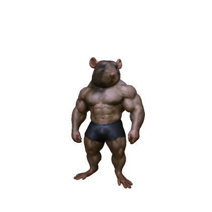 Very Muscular Rat