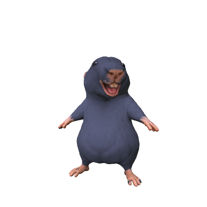 Big Teeth Hamster Meme Body