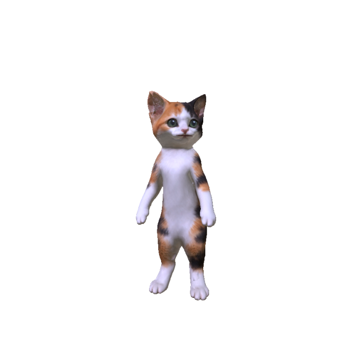 Calico Cat