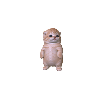Litte Kitten