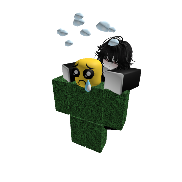 Roblox banner for @transform