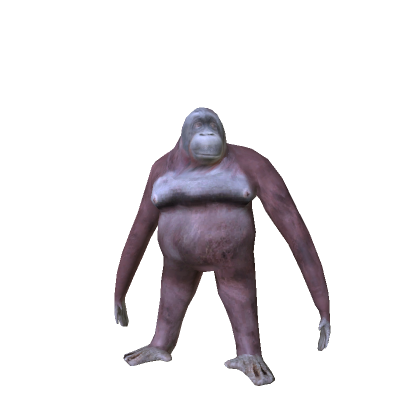Monke