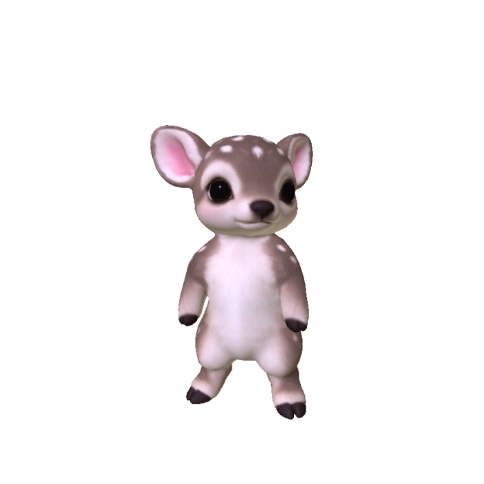 Little Fawn
