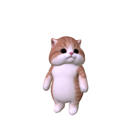 Chubby Cheeked Kitten