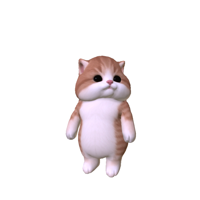 Chubby Cheeked Kitten