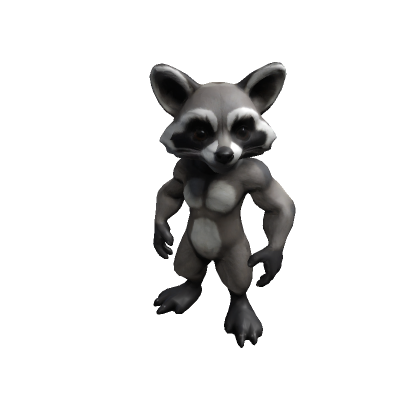 Raccoon - Roblox