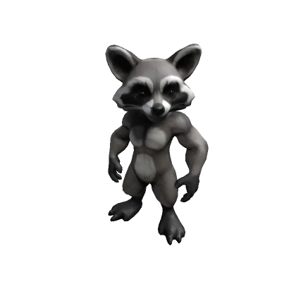 Raccoon - Roblox