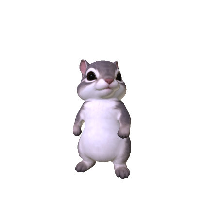 Cute Mini Chimpunk