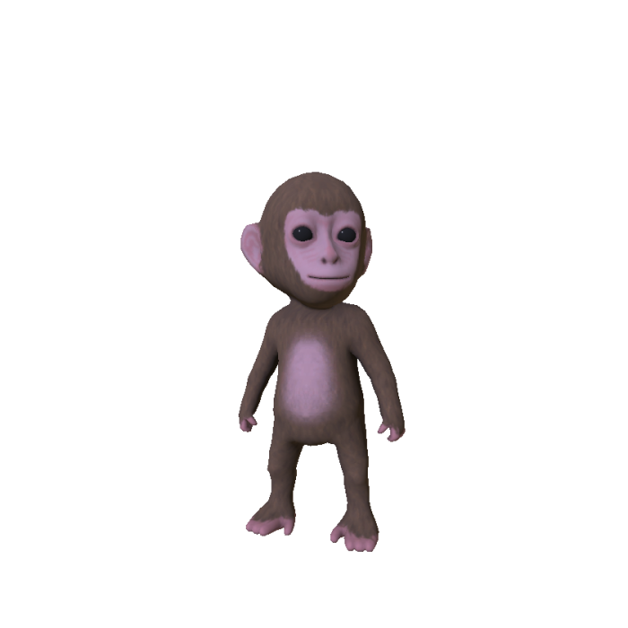 Baby Monkey