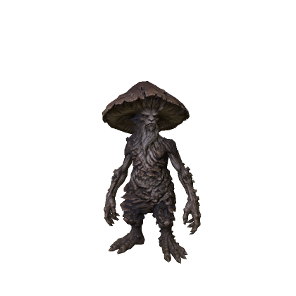 Wise Old Mushroom Man