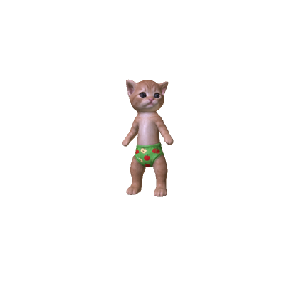 Cute Kitten