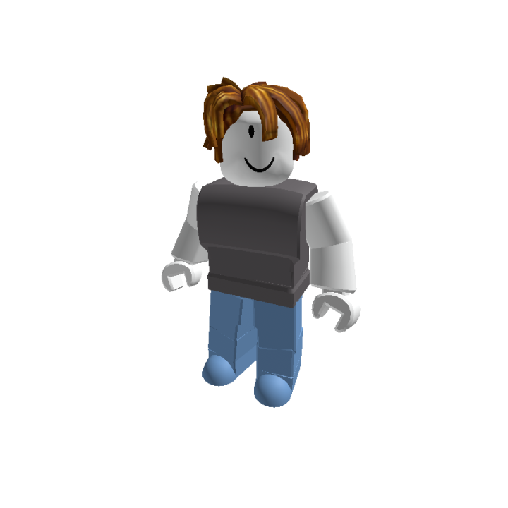Roblox banner for @tit495