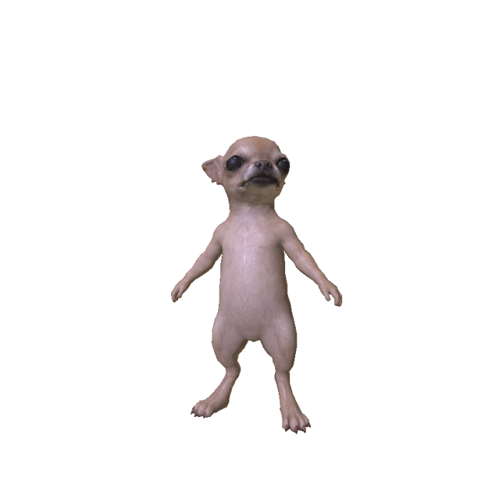 Chihuahua Meme Dog