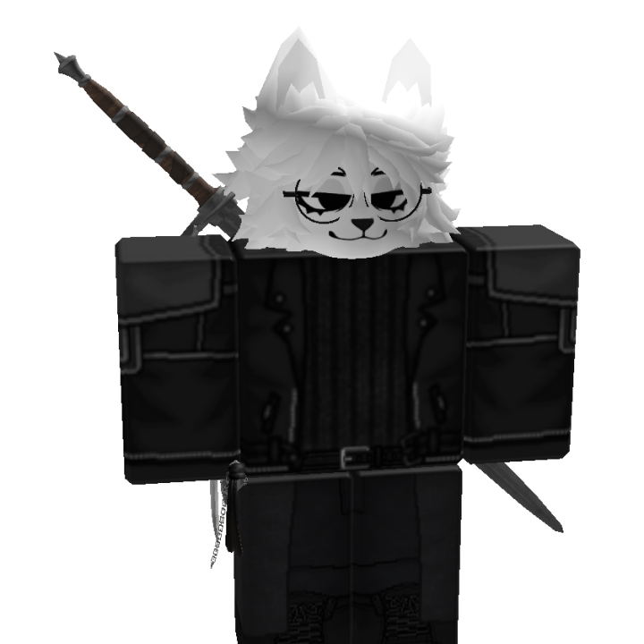 Roblox banner for @rd_pn