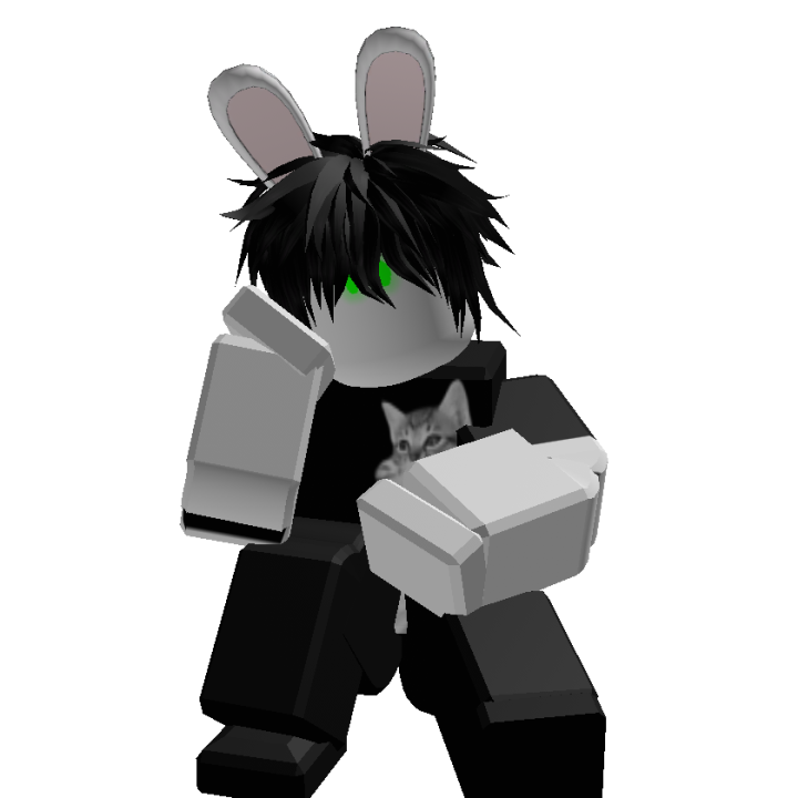 Roblox banner for @spc