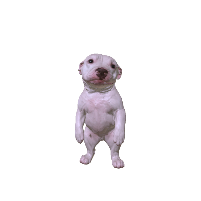 Dawg
