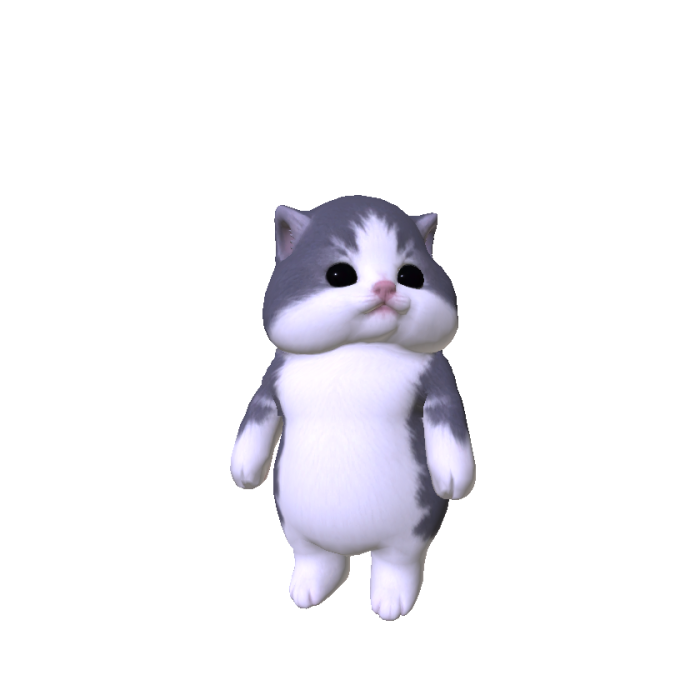 Chubby Cheeked Kitten