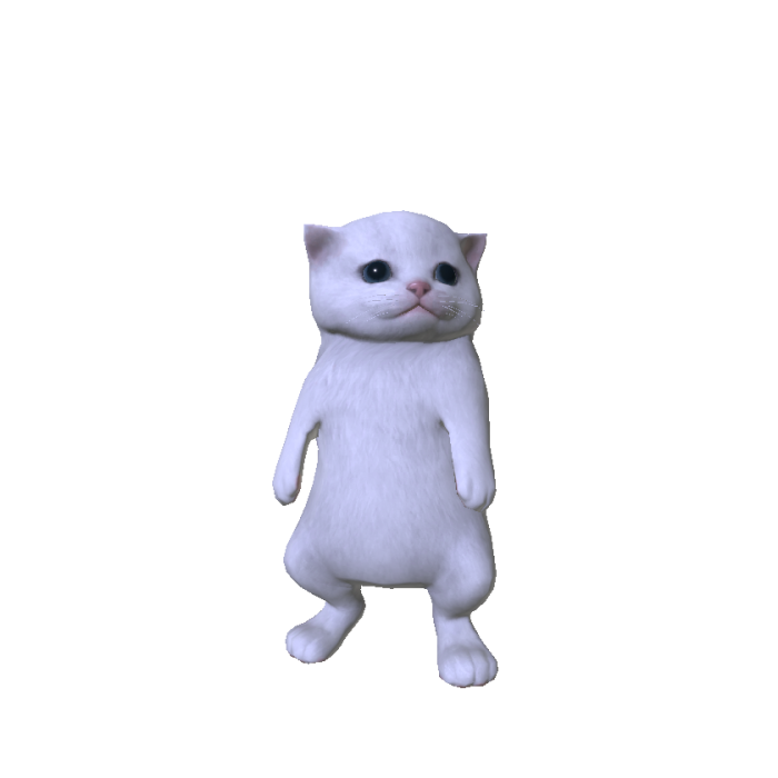 la calabaza kitten