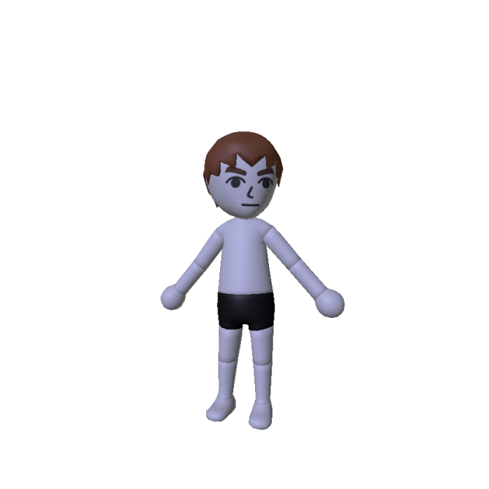 Wii Guy