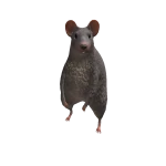 qqqwesf1's avatar