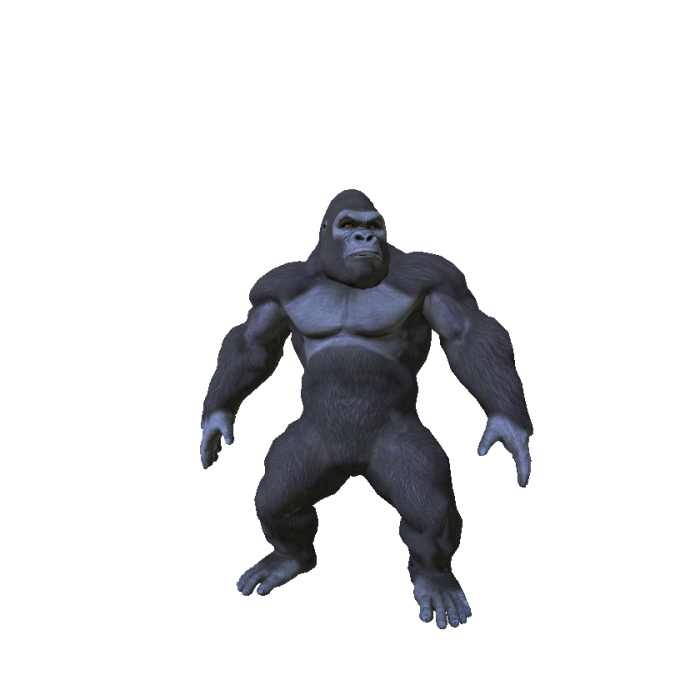 Gorilla
