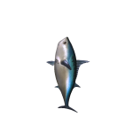 The Fish