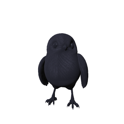 Mini Black Bird