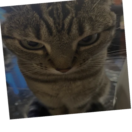 OhioGamerGirl's avatar