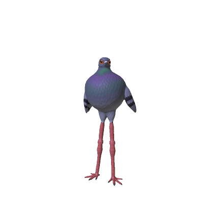Long Leg Pouter Pigeon_v1j