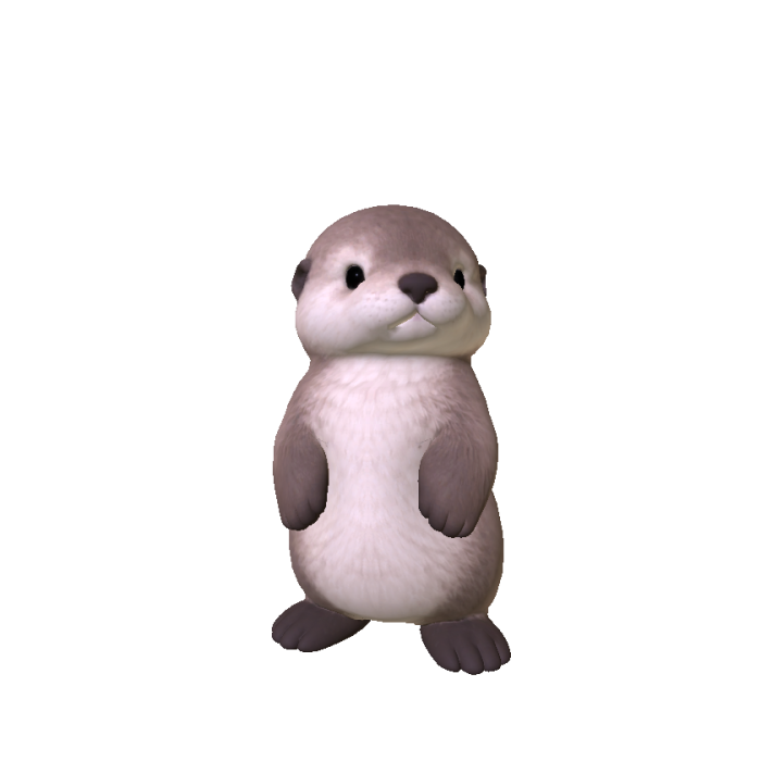 Sea Otter