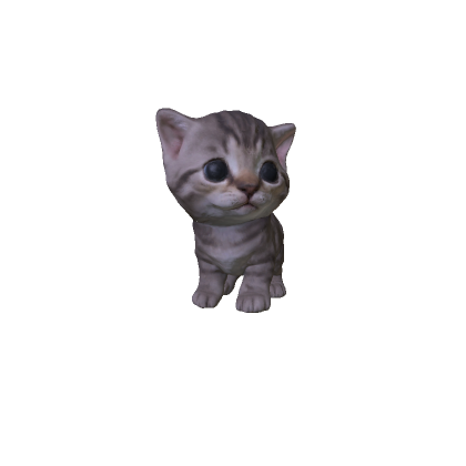 Cute Baby Kitten thumbnail